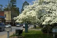 WEAVERVILLE NC