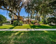 6301 Wild Orchid Drive, Lithia image