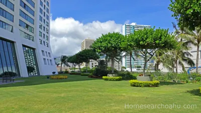 Hawaiki Tower Grassy Area