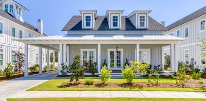 298 Sawbuck Drive, Inlet Beach