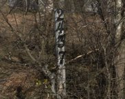 2437 Westmeyer Rd, New Braunfels image