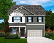 1005 Flat Coat Lane, Chapin image