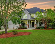 11 Bamboo Grove Court, Chapin image