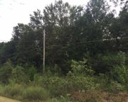 Spring Bayou, Marksville image