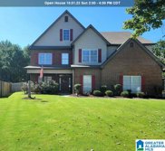 35 Ryan Circle, Odenville image