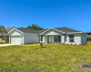 Palm Coast image