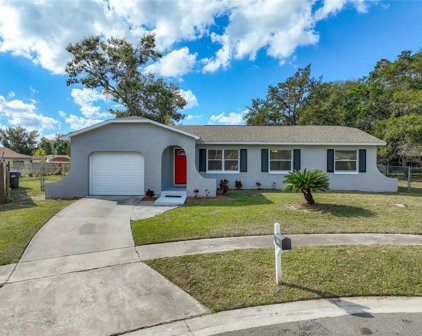 4546 Santa Cruz Court, Orlando