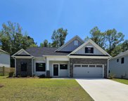 139 Collins Cove Drive, Chapin image