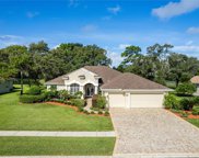 4625 Golf Club Lane, Spring Hill image