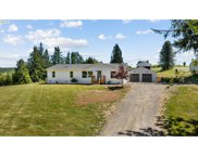 1615 OSTRANDER RD, Kelso image