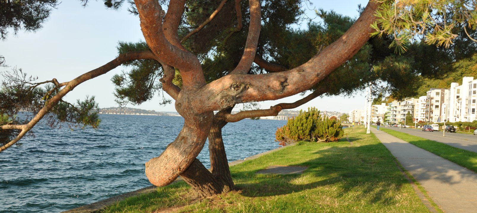 Alki Homes For Sale & Alki Real Estate