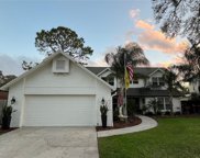 4705 Swansneck Place, Winter Springs image