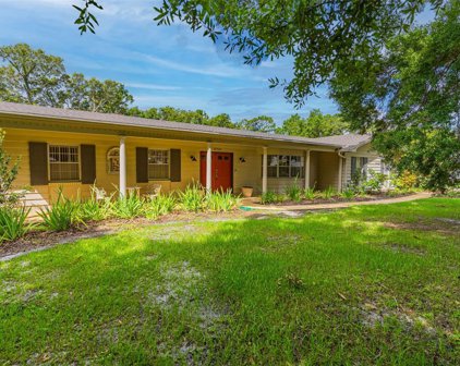 8522 Caracas Avenue, Orlando