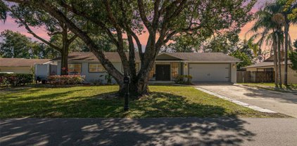 3412 Gleaves Court, Apopka