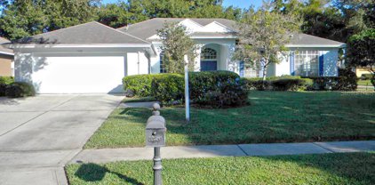 1320 Waterwitch Cove Circle, Orlando