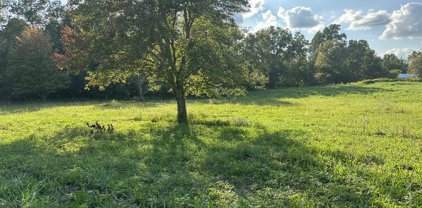 Clarksville Pike, Joelton