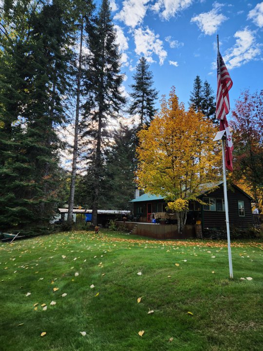North Idaho cabin surrounded by autumn trees and evergreens