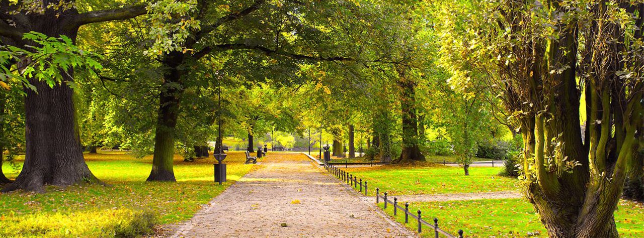 Homes Near Parks in Denver
