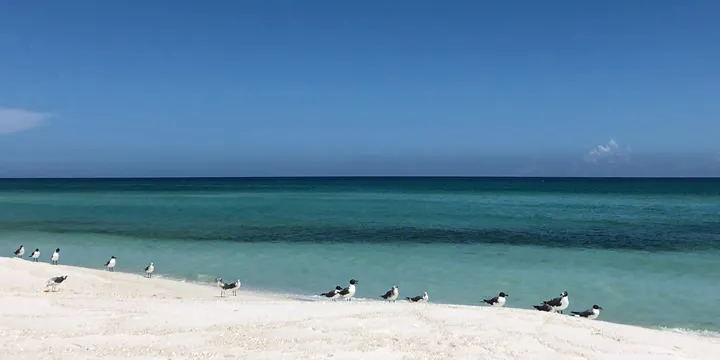 Beautiful Navarre Beach