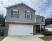 229 Addison Drive, Calera image