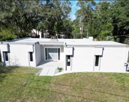 18852 Tracer Drive, Lutz image