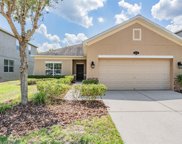 10622 Pictorial Park Drive, Tampa image