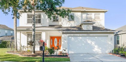 13518 Tenbury Wells Way, Winter Garden