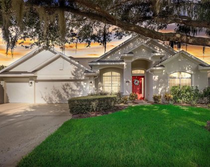 2320 Wintermere Pointe Drive, Winter Garden