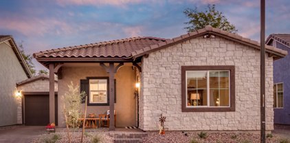 960 E Mulberry Place --, Chandler
