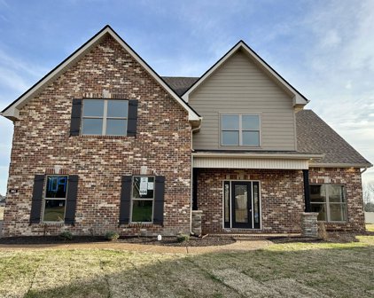904 Brileigh Mae Pass, Smyrna