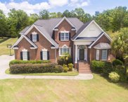 209 Bent Oak Drive, Chapin image