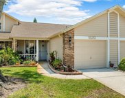 6530 Thicket Trail, New Port Richey image