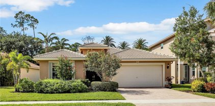 2347 Butterfly Palm DR, Naples