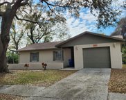 10820 Airview Drive, Tampa image