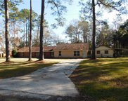 19619 Nw 56th Avenue, Starke image
