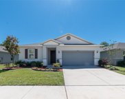 9225 Freedom Hill Drive, Seffner image