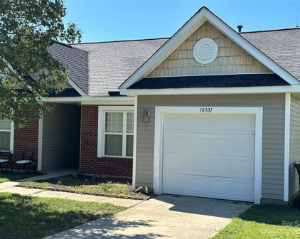 10301 Green Hedge  Avenue, Charlotte