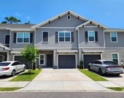 10964 Quickwater Court, Riverview image