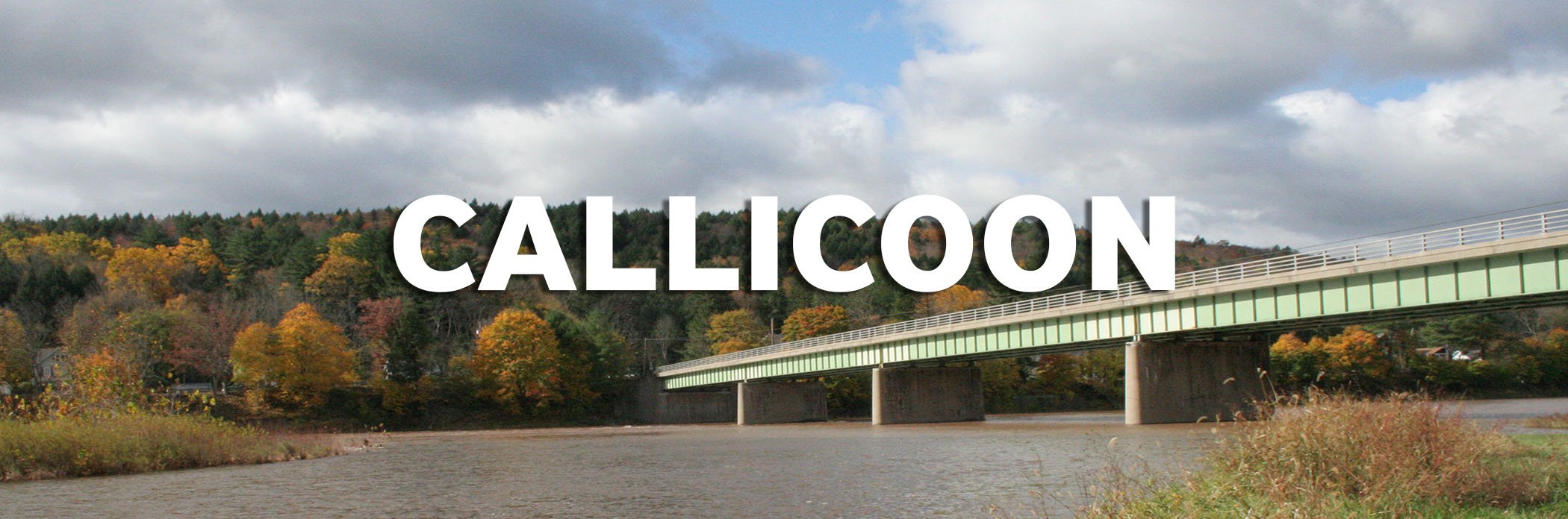 Callicoon
