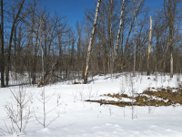 Lot 32 Waters Edge Drive NW, Walker image