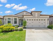 11121 Green Harvest Drive, Riverview image