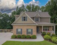 307 Odgers Trail, Dawsonville image