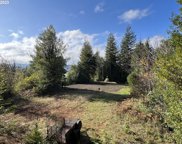 94019 FALCONS NEST DR, Coquille image