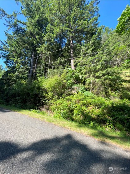 1225 Jamison Street, Lummi Island