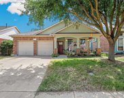 12041 Ringtail  Drive, Fort Worth image