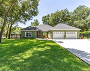 25712 Timuquana Dr, Mount Plymouth image