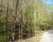 Spring Drive, Sevierville image