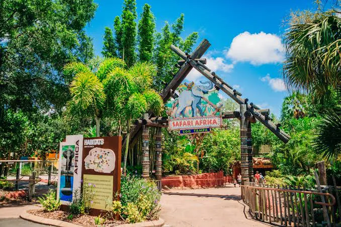 ZooTampa attraction in Florida
