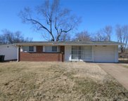 2349 Hallwood  Drive, St Louis image