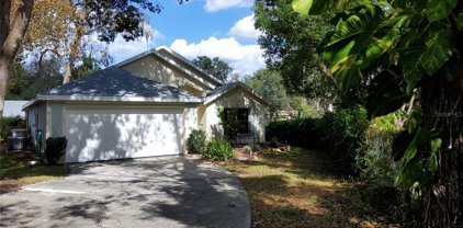 365 Bay Street, Apopka
